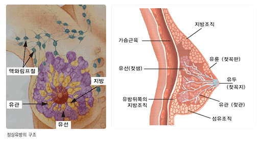 서브 콘텐츠 이미지