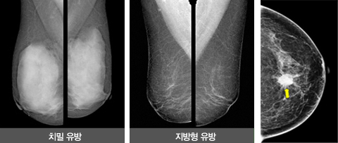 서브컨텐츠이미지